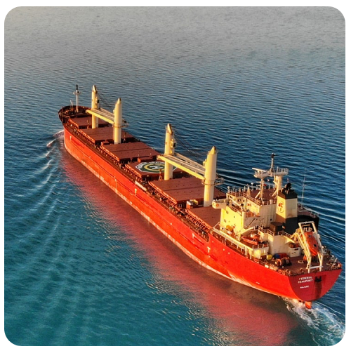 Ocean Freight Company